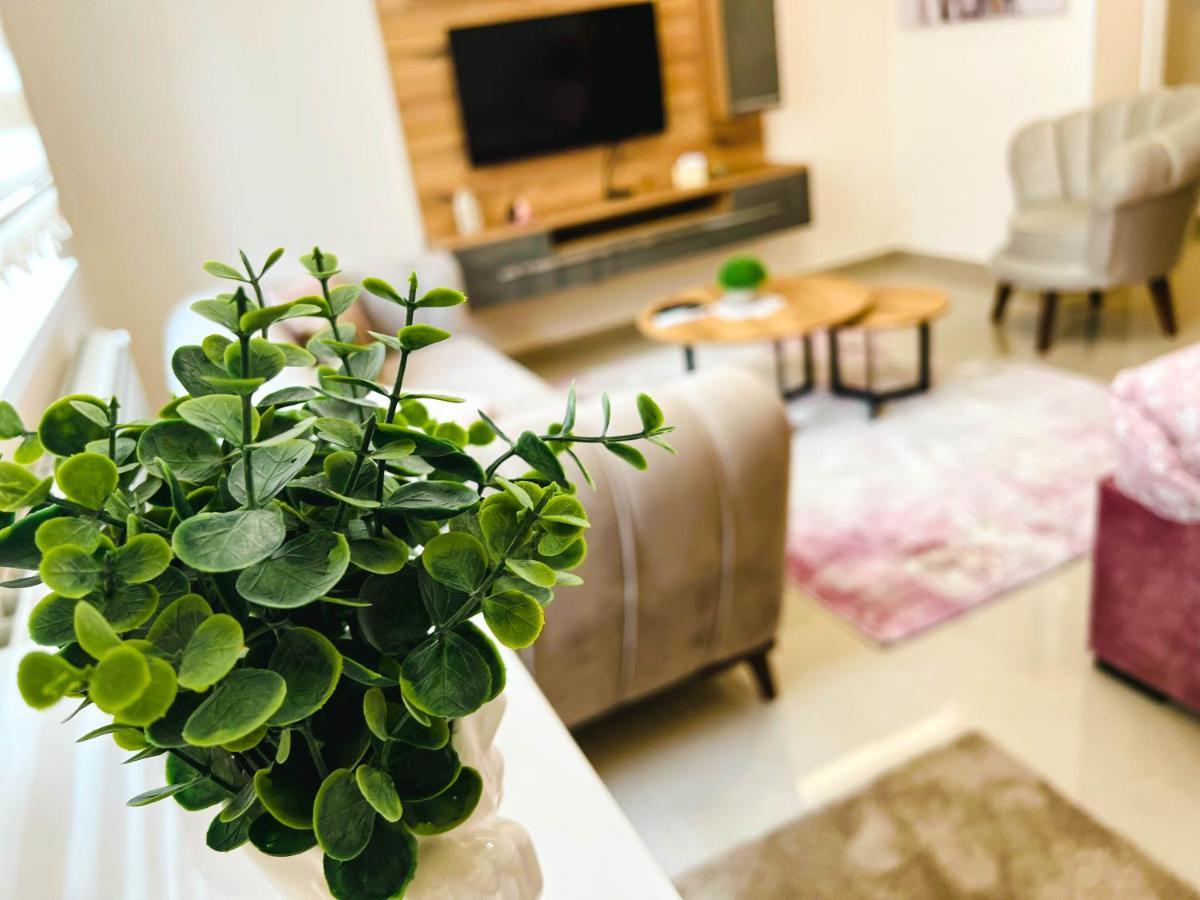 Old Town Luxury Suites Belgrade Extérieur photo